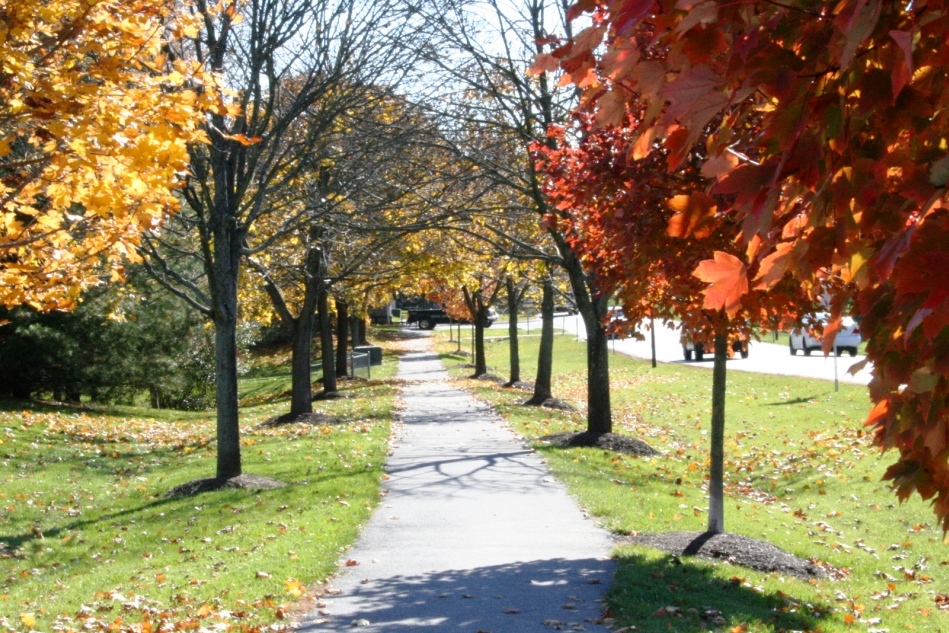 an ADA compliant MNCPPC pedetrian hiker biker trail along County Highway in Montgomery County Maryland